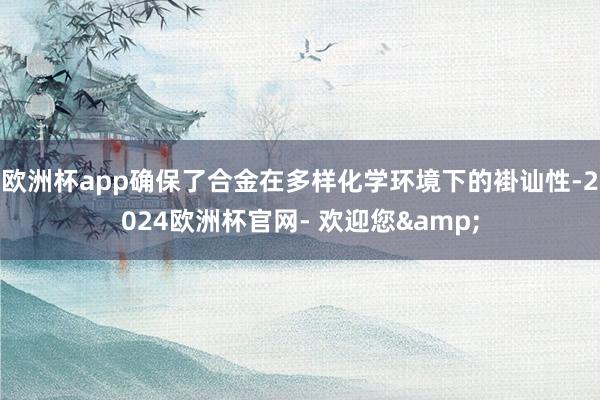 欧洲杯app确保了合金在多样化学环境下的褂讪性-2024欧洲杯官网- 欢迎您&