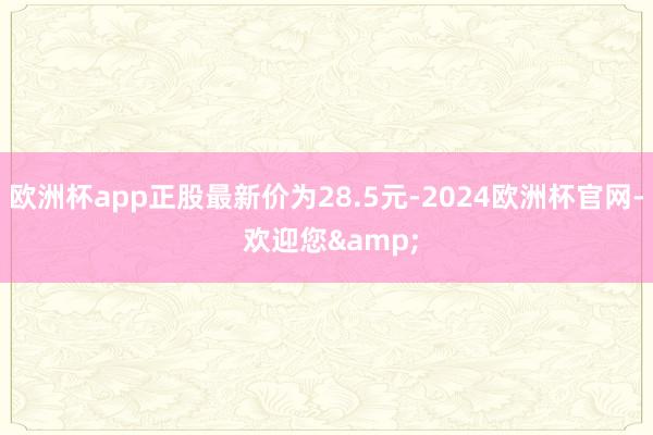 欧洲杯app正股最新价为28.5元-2024欧洲杯官网- 欢迎您&