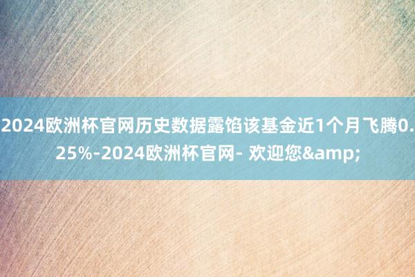 2024欧洲杯官网历史数据露馅该基金近1个月飞腾0.25%-2024欧洲杯官网- 欢迎您&