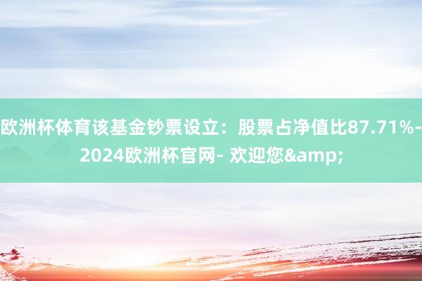 欧洲杯体育该基金钞票设立：股票占净值比87.71%-2024欧洲杯官网- 欢迎您&