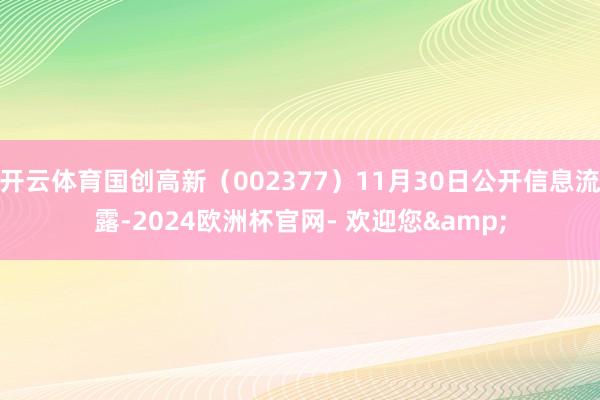 开云体育国创高新（002377）11月30日公开信息流露-2024欧洲杯官网- 欢迎您&