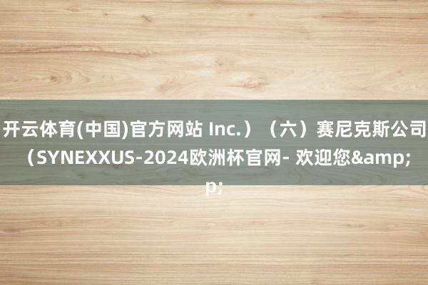 开云体育(中国)官方网站 Inc.）（六）赛尼克斯公司（SYNEXXUS-2024欧洲杯官网- 欢迎您&